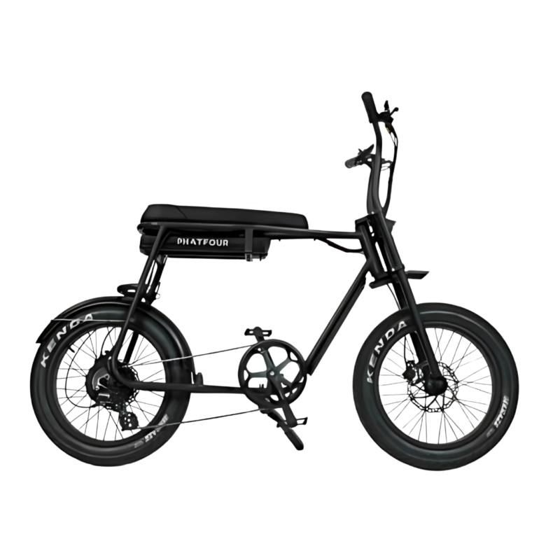Phatfour FLX Zwart 750 Wh